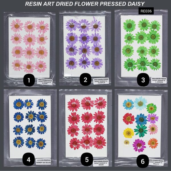 RESIN ART DRIED FLOWER PRESSED DAISY